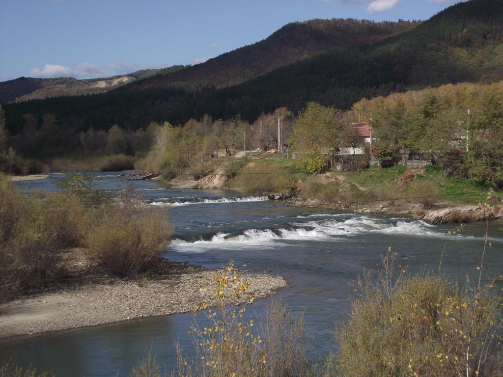 Pensiunea Valea Lupului Valea Lupului  Экстерьер фото