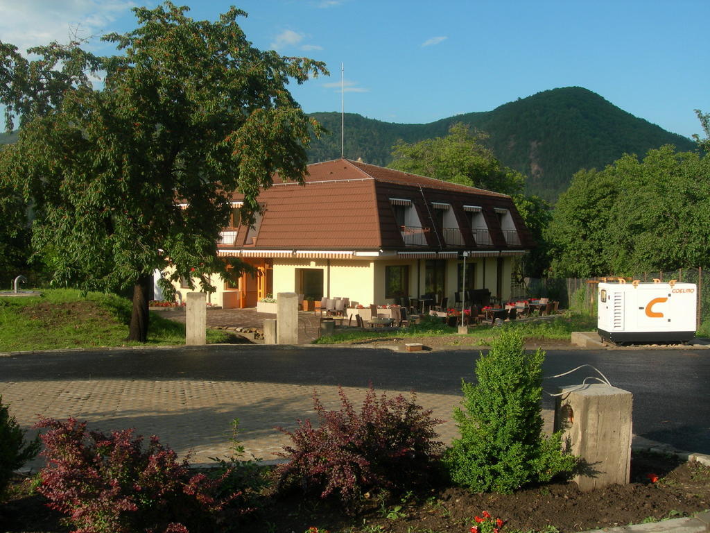 Pensiunea Valea Lupului Valea Lupului  Экстерьер фото