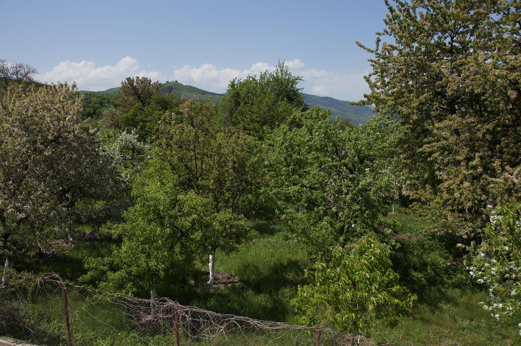 Pensiunea Valea Lupului Valea Lupului  Экстерьер фото